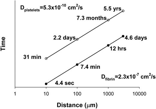 Figure 6. FX(a) transport time. Correcting for differences in experimental and serum viscosities, the mean time required for FX(a) to diffuse a round-trip distance of 1 mm is 7.8 hours in a fibrin clot (—•—) and approximately 6 months in a platelet-fibrin clot (—○—).