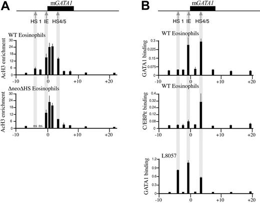 Figure 2. Histone acetylation profile and transcription factor binding in the mGata1 locus. (A) The mGATA1 locus is shown at the top. The Gata1 gene is depicted as a black box, and the position of cis-elements HS 1, IE promoter, and the intron element (HS4/5) are marked by gray arrows. Below, at different points along the GATA1 locus (x-axis, the coordinates are in kilobases), the degree of enrichment of acetylated histone H3 (black rectangles with 1 SD error bars indicated, y-axis) in eosinophils with intact HS 1 (WT) or deleted for HS 1 (ΔneoΔHS) is shown. Acetylation at HS 1, IE promoter, and HS 4/5 is highlighted by gray stripes. Ns indicates no signal. (B) Above, the mGata1 locus is shown as in panel A. Below, the relative degree of binding (black rectangles with 1 SD error bars indicated, y-axis) of transcription factors GATA1 and C/EBPϵ in wild-type eosinophils and GATA1 in the megakaryocytic cell line, L8057, is shown at different positions along the mGata1 locus (x-axis).