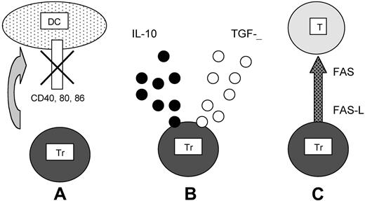 Figure 3. Antigen-induced regulatory T cells: 3 mechanisms of suppression. (A) After antigen-specific recognition of the target DCs, Trs inhibit CD40, CD80, and CD86 up-regulation. (B) After recognition of its specific antigen, Tr secretes IL10 and/or TGFβ. (C) Tr activates the FAS–FAS ligand cytolytic pathway to kill the effector target T cell (T) after its specific recognition.