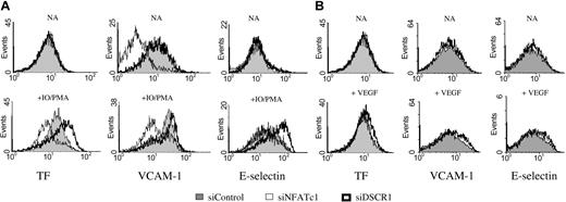 Figure 7. Knock down of endogenous DSCR1 induces expression of inflammatory markers on activated endothelial cells. (A) FACS analysis of HUVECs transiently cotransfected with an expression vector encoding for GFP and siDSCR1, siNFATc1, or siControl siRNA. Cells were analyzed for cell surface expression of TF, VCAM-1, and E-selectin on GFP+ cells 4 hours after stimulation with PMA/IO or control treatment (NA). (B) FACS analysis of HUVECs stimulated with VEGF and analyzed for expression of TF (4 hours), VCAM-1 (20 hours), and E-selectin (20 hours). Data shown correspond to one representative set of 3 independent experiments.