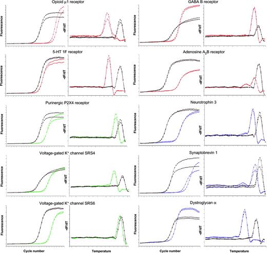 Figure 2. Detection of mRNA expression by real-time RT-PCR. Real-time RT-PCR curves (left) and respective melting curves (right) of the PCR products are displayed. Curves of the 10 target genes are colored; curves of the respective GAPDH controls are displayed in black. The analysis of 1 representative of 3 CD34+ cell samples is shown. Each analysis was performed in duplicate.