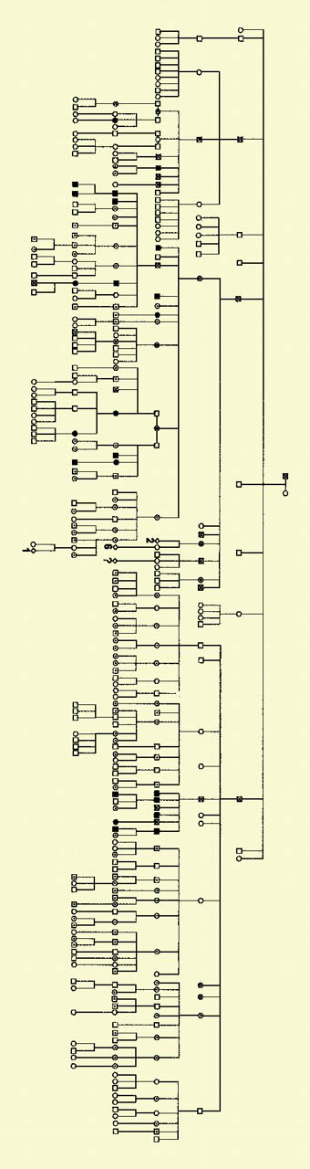 Pedigree of the QPD family. See the complete figure in the article beginning on page 159.
