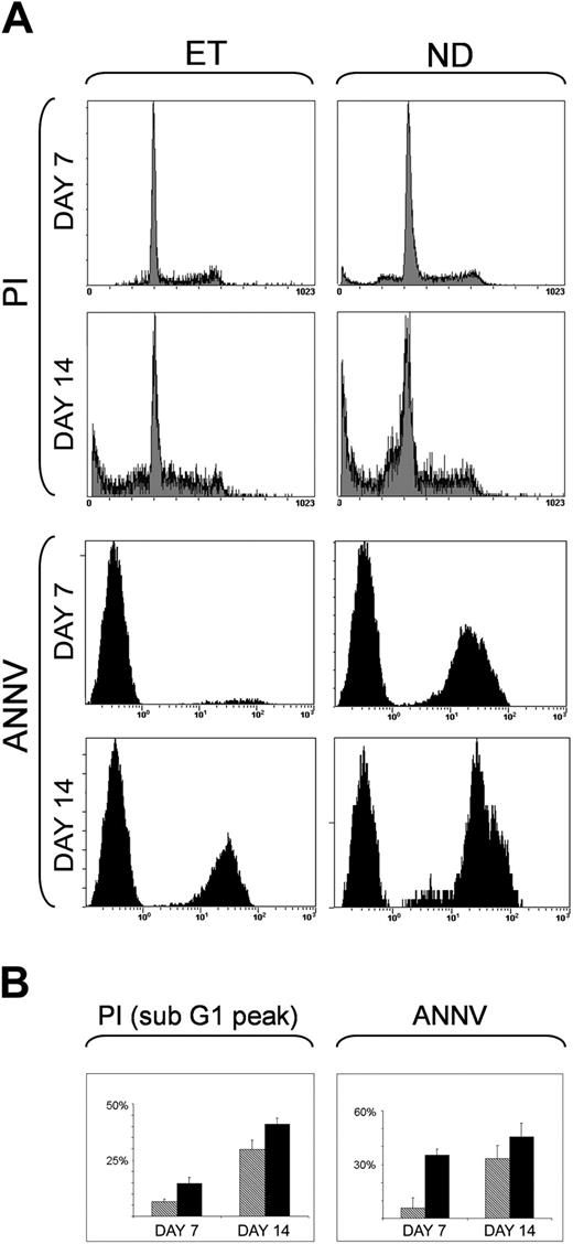 Figure 5. Apoptosis of normal and ET MK cells after 7 and 14 days of culture with 100 ng/mL TPO. Apoptosis in normal donors (ND) and ET MKs was quantified by PI and annexin-V–FITC stainings after 7 and 14 days of culture. (A) The results of 1 representative experiment, the x-axis representing the relative fluorescence intensity and the y-axis, the relative number of cells. (B) Histograms showing mean ± SD percentages of positive ET (; 5 cases) and normal (▪; 6 cases) MKs for PI (sub-G1 peak DNA evaluation) and annexin-V–FITC.