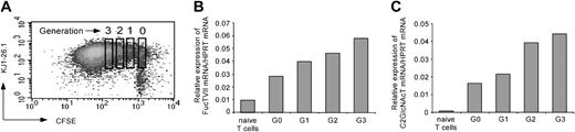 Figure 2. Proliferation enhances FucT VII and C2 GlcNAcT mRNA expression in activated CD4+ lymphocytes. On day 3 after activation as in Figure 1, transgenic KJ1-26.1+ T cells were sorted according to the CFSE stain into individual generations (G0 to G3) (A). FucT VII mRNA and C2 GlcNAcT mRNA expression in relation to HPRT as a housekeeping gene was determined by quantitative PCR within these sorted fractions and in naive T cells (B-C). One representative of 2 experiments is shown.