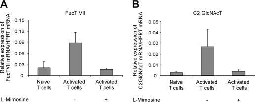 Figure 4. Cell-cycle arrest prevents up-regulation of FucT VII and C2 GlcNAcT mRNA expression. A total of 1 × 106 naive T cells were activated by plate-bound anti-CD3 and soluble anti-CD28 plus IL-12, IFN-γ, and anti-IL-4 for 3 days. The relative expression of FucT VII (A) and C2 GlcNAcT (B) mRNA to housekeeping gene HPRT was determined for naive T cells and cells activated in the presence or absence of l-mimosine. The mean (+ SD) from 4 individual experiments is shown.