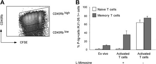 Figure 5. Cell-cycle arrest prevents induction of P-lig in naive but not in memory cells. Expression of P-lig was measured on naive and memory/effector cells before and 3 days after activation by 0.1 μM OVA323-339 peptide and cytokines (IL-12, IFN-γ, and anti-IL-4) in the presence or absence of l-mimosine. Naive (CD45RBhigh) and memory T cells (CD45RBlow) were identified on day 3 after activation by combining CFSE staining and CD45RB expression (A). (B) The frequency of P-lig–positive cells within KJ1.26-1+ naive and memory/effector cells (mean + SD from 3 separate experiments).