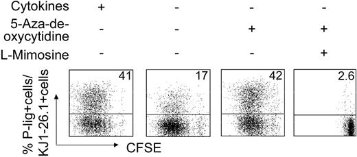 Figure 6. Artificial DNA demethylation up-regulates P-lig expression on effector T cells. Naive transgenic CD4+ cells were activated with OVA323-339 peptide and APCs either with or without cytokine supplement (IL-12, IFN-γ, and αIL-4) as indicated and in the presence or absence of the DNA methylation inhibitor 5-aza-2-deoxycytidine (5 μM) and cell-cycle inhibitor l-mimosine. Data from 1 of 4 similar experiments are shown. Numbers in top right corners indicate the percentage of P-lig–positive cells in culture.