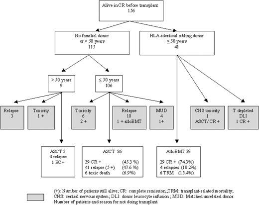 Figure 3. Flow chart of the 156 patients alive in CR after induction.