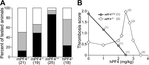 Figure 3. FeCl3 carotid artery injury model. (A) The percentage of animals with FeCl3-induced carotid injury that developed a stable occlusive thrombus (▪), transient occlusive thrombus (▦), and no occlusive thrombus are shown. The animals are arranged from no PF4 expression on the left to excess PF4 expression on the right. The number tested of each phenotype is indicated at the bottom (P < .005 mPF4+/– versus mPF4+/+; P < .0001 for mPF4–/– versus mPF4+/+ and hPF4+ versus mPF4+/+). (B) Mean thrombosis score of wild-type and littermate mPF4–/– mice treated with increasing doses of recombinant hPF4 infusion (n = 5 animals at each point). A thrombosis score of 2 = stable occlusive thrombus, 1 = transient occlusive thrombus, and 0 = no occlusive thrombus developed. The zero concentration data points are extrapolated from panel A. Numbers indicate levels of heparin infusion in which occlusive thrombi occurred at a significantly different rate from non–heparin-treated mice of that phenotype (P < .01, Student t test; 1 = mPF4+/+, and 2 = mPF4–/–).