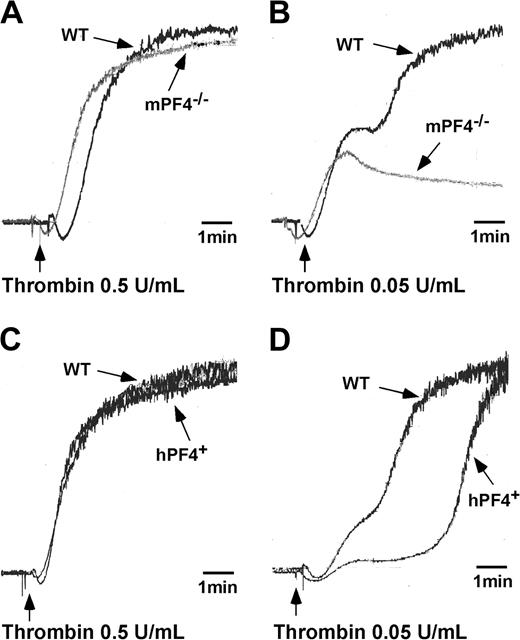 Figure 5. Low-dose agonist aggregation of platelets isolated from mPF4–/–, hPF4+, and WT mice. Platelets isolated from mPF4–/– and littermate WT animals were stimulated by the addition of either a high (0.5 U/mL) (A) or low (0.05 U/mL) concentration of thrombin (B). Platelets isolated from hPF4+ and littermate WT animals were stimulated by adding either a high (0.5 U/mL) (C) or low (0.05 U/mL) concentration of thrombin (D). Aggregations were performed at 37°C with continuous stirring, and light transmission was continuously recorded. Data presented are representative of 3 sets of studies with similar outcomes.