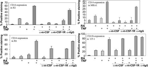 Figure 5. Neutralization of either the m-CSF-1R or its ligand negates CD14 induction in response to TNF and RA. Cytofluorimetric analysis of CD14 levels on RA-resistant APL cells in response to treatment with RA and TNF. UF-1 cells were treated for 3 days, while others were treated for 5. Antibodies and reagents were replenished at day 3 of the 5-day treatments. The synergy observed between ATRA and TNF observed 5 days after treatment was ablated on addition of neutralizing antibodies to m-CSF-1R or m-CSF. The antibodies did not decrease CD11b levels in UF-1. Control experiments using rabbit immunoglobulin G (rIgG) antibodies showed very little effect on CD14 expression.
