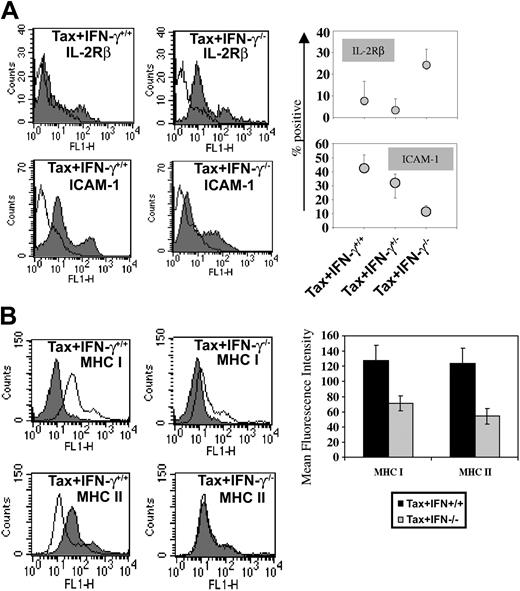 Figure 2. Adhesion molecules expressed on WT and IFN-γ knockout tumors. Fresh tumor cell suspensions from 4 tumor specimens from each genotype were stained with FITC-conjugated antibodies at a concentration of 1 μg/106 cells and subjected to FACS analysis. (A) FACS scans of IL-2Rβ- and ICAM-1-expressing tumor cells corresponding to one representative tumor and quantitative analysis of the percentage of positive cells in the population from 4 tumor specimens of each genotype are depicted. (B) Representative FACS histograms are shown, and quantitative mean fluorescence intensity comparisons of MHC I and MHC II stains on tumor cells are shown. There were 25 000 tumor cells counted from each tumor, and 4 tumors were analyzed for each genotype. The first peak in all 4 panels indicates isotype control. The second peak corresponds to specific staining for IL-2Rβ, ICAM-1, MHC-I, or MHC-II. Error bars represent SEM.