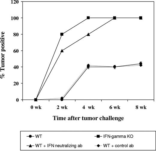 Figure 6. Tax-tumor transplantation in IFN-γ knockout mice and in mice depleted of IFN-γ. Four groups, each consisting of 5 mice, were established for this experiment as described in “Materials and methods.” First, 5 × 106 SC cells were injected subcutaneously in Matrigel. Growth of tumors was observed in all animals, and the percentages of tumor-positive animals are depicted.