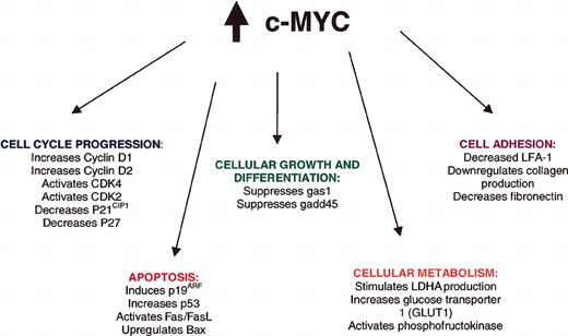Figure 4. Direct and indirect consequences of c-Myc overexpression in Burkitt lymphoma. These consequences are reviewed in Hecht and Aster21 and Boxer and Dang.24 FAS indicates fatty acid synthetase; FASL, FAS ligand; Bax, Bcl-2–associated X protein; LDHA, lactate dehydrogenase A; LFA-1, lymphocyte function-associated antigen-1.