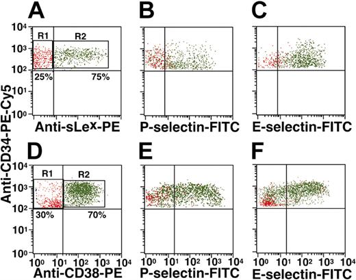 Figure 1. CB CD34+ cells that lack sLex epitopes have impaired binding to P- and E-selectin and are enriched in CD34+CD38–/low cells. (A-C) Cells were incubated with PE-Cy5–conjugated anti-CD34, anti-sLex mAb HECA-452 identified with a PE-conjugated second antibody, and P-selectin/IgG identified with biotinylated protein A and streptavidin-FITC or E-selectin/IgM identified with a FITC-conjugated goat anti-IgM. Binding was measured by flow cytometry. The CB CD34+ cells were classified as sLex negative (R1 region, red) or sLex positive (R2 region, green) as shown in panel A. Cells in the gated R1 and R2 regions were examined for interactions with P-selectin and E-selectin as shown in panels B and C. (D-F) Cells were incubated with PE-Cy5–conjugated anti-CD34, PE-conjugated anti-CD38, and P-selectin or E-selectin identified as described in “Materials and methods”. The cells were gated as CD34+CD38–/low (R1 region, red) and CD34+CD38+ (R2 region, green) as shown in panel D. Cells from the 2 gated regions were examined for interactions with P-selectin and E-selectin as shown in panels E and F. Cells incubated with isotype-matched control IgG or IgM were used to determine fluorescence thresholds for specific binding. The results are representative of 3 independent experiments.