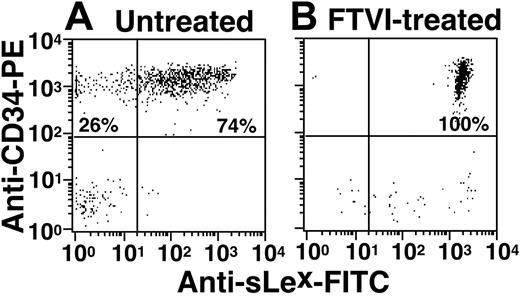 Figure 2. Surface α1-3 fucosylation of CB CD34+ cells with exogenous FTVI and GDP fucose increases sLex epitopes. CB CD34+ cells were incubated in the presence or absence of FTVI and GDP fucose. The cells were then incubated with PE-conjugated anti-CD34 mAb and with anti-sLex mAb HECA-452 identified with a FITC-conjugated second antibody. Binding was measured by flow cytometry. Cells incubated with isotype-matched control antibodies were used to determine fluorescence thresholds for specific binding. The results are representative of 5 independent experiments. The percentage of cells in each quadrant is indicated.