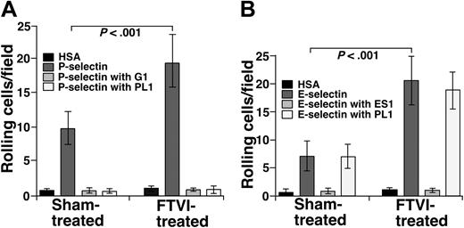 Figure 4. Surface α1-3 fucosylation of CB CD34+ cells augments rolling on P-selectin and E-selectin under flow. (A) Sham-treated or FTVI-treated CB CD34+ cells were perfused over immobilized human P-selectin or over a control surface coated only with HSA in the presence or absence of a blocking mAb to P-selectin (G1) or PSGL-1 (PL1). (B) Sham-treated or FTVI-treated CB CD34+ cells were perfused over immobilized human E-selectin or over a control surface coated only with HSA in the presence or absence of a blocking mAb to E-selectin (ES1) or PSGL-1 (PL1). The wall shear stress was 0.5 dyne/cm2. After 4 minutes, the number of rolling cells was quantified. The data represent the mean ± SEM of 3 independent experiments.