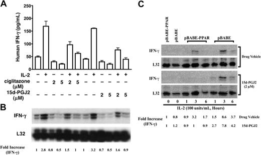 Figure 6. Effect of PPAR-γ activation on IFN-γ expression in NK cells. (A-B) Inhibition of IL-2-induced IFN-γ response by 15d-PGJ2 or ciglitazone in PPAR-γ-positive NKL cells. PPAR-γ-positive NKL cells were preincubated with either 15d-PGJ2, ciglitazone, or drug vehicle for 1 hour, and IL-2 (200 U/mL) was added to the cells for 6 hours. IFN-γ production in the supernatant was measured by ELISA (A). Results are shown as a representative experiment conducted in duplicate (mean ± SD). Total RNA was isolated from the corresponding samples that were treated for 2 hours, and IFN-γ mRNA was analyzed by RPA (B). (C) Reduction of IL-2-induced IFN-γ mRNA in NK92 cells upon ectopic expression of PPAR-γ. PPAR-γ-null NK92 cells were retrovirally infected with or without PPAR-γ (pBABE-PPAR or pBABE) as described in “Materials and methods” and then treated with IL-2 (200 U/mL) and 15d-PGJ2 (2 μM), respectively, for a period of time as indicated in the figure. The total RNA was isolated and subjected to RPA analysis. The PPAR-γ mRNA levels were presented as arbitrary units that were derived from normalization densitometry values of each PPAR-γ band by corresponding L32 band.
