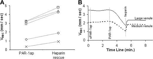 Figure 4. The effect of suffused UFH on PAR-1 agonist peptide-reduced sickle RBC flow velocity (VRBC). Results are described as VRBC of XRITC-labeled sickle RBCs in C57/BL (control) mice. (A) VRBC of sickle RBCs in PAR-1 agonist peptide (PAR-1ap)-treated venules prior to and after UFH suffusion (heparin rescue). Results are of individual VRBC changes in single venules from 5 different experiments. (B) Real-time course plots of RBC velocity (VRBC) in medium (20 to 40 μm) and large (40 μm to 80 μm) venules in C57BL/6 (control) mice treated with inactive scrambled PAR-1 agonist peptide (sPAR-1ap), active PAR-1 agonist peptide (PAR-1ap), and unfractionated heparin (heparin).