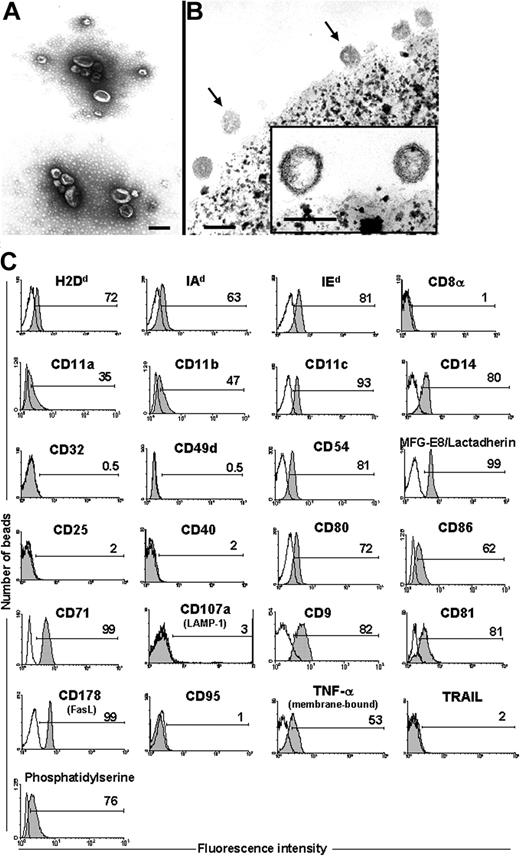 Figure 1. Characterization of BMDC-derived exosomes. (A) Whole-mount preparations of DC exosomes show cup-shaped vesicles of 65 to100 nm diameter (×100 000; bar = 100 nm). (B) DC exosomes (arrows) attached to 4.5-μm beads used for flow cytometry. Inset: detail of exosomes (×150 000; bar = 100 nm). (C) Surface phenotype of DC exosomes by flow cytometry. DC exosomes concentrated molecules that were absent or expressed weakly on the surface of BMDCs (ie, CD14, CD178, membrane bound-TNF-α, and PS) and were negative for LAMP-1 (CD107a), a molecule confined to the limiting membrane of MVB. Open profiles indicate isotype controls. Numbers correspond to percentage of positive beads. Data are representative of 5 independent experiments.