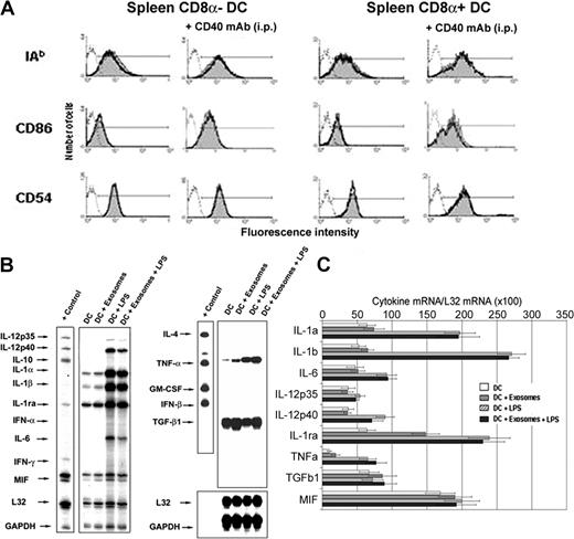 Figure 6. Uptake of exosomes does not interfere with splenic DC maturation in vivo. (A) Allogeneic exosomes (BALB/c) were injected intravenously into B10 recipients, and expression of IAb, CD86, and CD54 was assessed in splenic CD8αneg and CD8α+ splenic DCs 24 hours later. Capture of circulating exosomes did not induce activation of splenic DCs and did not interfere with CD40-induced DC activation (thick line histograms) compared to splenic DCs from controls (gray histograms). White histograms represent isotype controls. Data are representative of 2 independent experiments with 3 animals per group. (B) Quantitative analysis of mRNA cytokine gene expression of BMDCs was performed 4 hours (not shown) and 16 hours (b) following interaction with exosomes. (C) Densitometric analysis of each lane was expressed relative to corresponding housekeeping gene transcripts (L32). Data are representative of 2 independent experiments and displayed as their means ± SD.