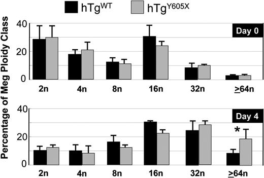 Figure 4. Ploidy analysis of bone marrow megakaryocytes after in vivo administration of TPO. After the injection of TPO, bone marrow megakaryocytes were harvested and analyzed for ploidy classes. Shown are the means and SEM from 6 mice of each genotype. *P = .05.