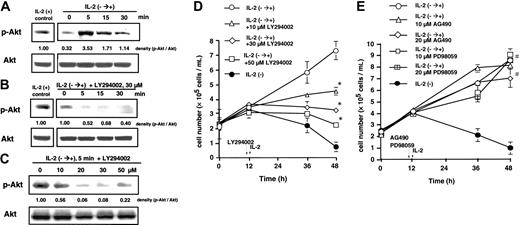 Figure 3. Inhibition of IL-2-induced Akt phosphorylation and cell growth by LY294002 but not by AG490 and PD98059. KHYG-1 cells at an initial concentration of 2.5 × 105/mL were cultured in the absence of IL-2 for 12 hours, rescued with IL-2 (100 U/mL) supplementation (IL-2- → +), or treated with various concentrations of LY294002, AG490, or PD98059 for 1 hour in the absence of IL-2 before IL-2 supplementation. (A) At the indicated times after IL-2 supplementation (0, 5, 10, and 30 minutes), the protein levels of phosphorylated Akt kinase (Serine 473) and Akt kinase were determined by Western blot analysis. Equal loading of the samples was confirmed by protein levels of Akt. (B-C) Cells were treated with the indicated concentrations of LY294002 (B: 30 μM; C: 0, 10, 20, 30, and 50 μM) for 1 hour in the absence of IL-2 and harvested at the indicated times (B: 0, 5, 10, and 30 minutes; C: 5 minutes) after IL-2 supplementation. Western blot analysis was performed for Akt and phosphorylated-Akt. The ratio of phosphorylated-Akt to Akt was calculated by National Institutes of Health (NIH) image software and shown at the bottom of each panel. The results were representative of 3 independent experiments. (D-E) Cells were treated with the indicated concentrations of LY294002, AG490, and PD98059 for 1 hour in the absence of IL-2 and harvested 0, 24, and 36 hours after IL-2 supplementation. Viable cell numbers were assessed by a trypan blue dye exclusion method. The bars indicate 1 SD. The significance of cell number was determined by ANOVA test. *P < .01; **P < .05; #P > .05.