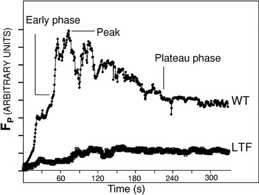Figure 1. Platelet accumulation in developing thrombi in wild-type and low TF mice. Platelets were labeled in developing thrombi with Alexa 660–conjugated chicken antirat antibody bound to rat anti-CD41 antibody. Each curve, as labeled, is the median integrated platelet fluorescence intensity for multiple thrombi of each genotype: WT (23 thrombi in a total of 2 mice) and LTF (18 thrombi in 3 mice). The time points of the early phase, plateau phase, and peak are indicated. Fluorescence of platelets in arbitrary units is presented as a function of time.