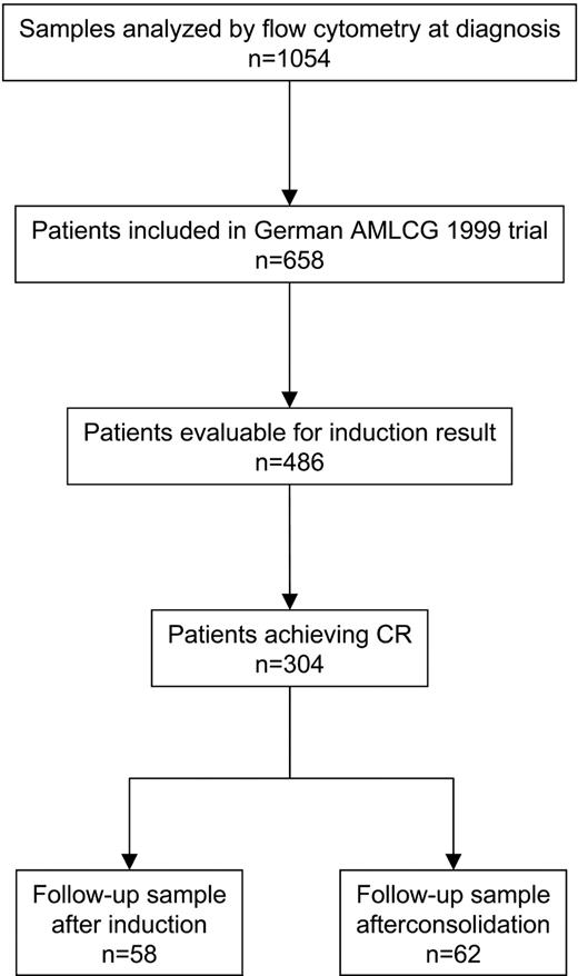 Figure 1. Flow chart of cases analyzed by flow cytometry at diagnosis of AML. After induction and consolidation therapies, 58 and 62 patients, respectively, were analyzed by flow cytometry; 27 patients were assessed at both checkpoints.
