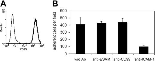 Figure 4. The CD99-expressing antigen-specific memory/effector TH1 cell line SJL.PLP7 does not bind via CD99 to mouse bEnd.5 endothelioma cells. (A) Binding of anti-CD99 antibodies (solid line) and control IgG (thin line) to SJL.PLP7 cells as analyzed by flow cytometry. (B) SJL.PLP7 cells were allowed to adhere to bEnd.5 cells in the absence of antibodies (w/o Ab), or in the presence of 30 μg/mL antibodies against ESAM (anti-ESAM), against CD99 (anti-CD99), or against ICAM-1 (anti–ICAM-1). P < .005, anti–ICAM-1 versus w/o Ab. The results are presented as the mean ± SEM, and are representative of at least 3 separate experiments.