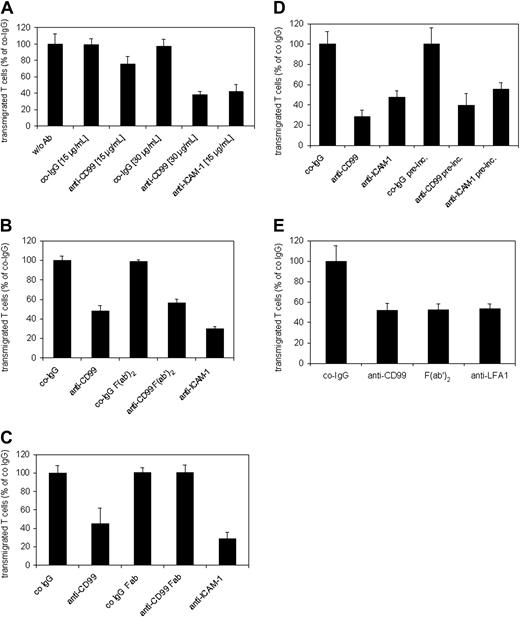 Figure 5. Blocking of CD99 inhibits TEM of SJL.PLP7 cells. T cells were allowed to transmigrate through the monolayer of bEnd.5 cells grown on transwell filters, either for 2 hours in the absence of the chemokine SDF-1 (A-C), or for 30 minutes in the presence of 100 ng/mL SDF-1 in the lower chamber (C-D). (A) Endothelial cells were incubated for 30 minutes prior to the start of the assay either without antibodies (w/o Ab) or with the indicated concentrations of preimmune control IgG (co-IgG), affinity-purified anti-CD99 IgG (anti-CD99), or a mAb against ICAM-1 (anti–ICAM-1). Antibodies remained present during the assay. P < .005, anti-CD99 (15 μg/mL) versus co-IgG (15 μg/mL); P < .0005, anti-CD99 (30 μg/mL) versus co-IgG (30 μg/mL) or anti–ICAM-1 (15 μg/mL) versus co-IgG (15 μg/mL). (B) Endothelial cells were pretreated with 30 μg/mL preimmune IgG (co-IgG), intact anti-CD99 antibodies (anti-CD99), F(ab′)2 fragments of control IgG or of anti-CD99 IgG, or with a mAb against ICAM-1 (anti–ICAM-1). As in panel A, antibodies remained present during the assay. P < .0005, co-IgG versus anti-CD99 or anti–ICAM-1; P < .0005, anti-CD99 F(ab′)2 versus co-IgG F(ab′)2. (C) Endothelial cells were pretreated with 30 μg/mL preimmune IgG (co-IgG), intact anti-CD99 antibodies (anti-CD99), Fab fragments of control IgG (co-IgG Fab) or of anti-CD99 IgG (anti-CD99 Fab), or with a mAb against ICAM-1 (anti–ICAM-1). As in panels A-C, antibodies remained present during the assay. P < .01, anti-CD99 versus co-IgG; P < .001, anti–ICAM-1 versus co-IgG. (D) After preincubation of the endothelial cells with 30 μg/mL of the indicated antibodies, the antibodies either remained present during the assay (first 3 bars) or were washed away before the addition of the lymphocytes (indicated by “pre-inc.” underneath the last 3 bars). P < .001, anti-CD99 versus co-IgG; P < .005, anti–ICAM-1 versus co-IgG; P < .005, co-IgG pre-inc. versus anti-CD99 preinc. or anti–ICAM-1 pre-inc. (E) Lymphocytes were preincubated with 30 μg/mL preimmune control IgG, anti-CD99 IgG or a mAb against LFA-1, or with F(ab′)2 fragments of anti-CD99 antibodies. Antibodies and F(ab′)2 fragments were washed away prior to adding the lymphocytes into the assay. Each panel is representative of at least 5 experiments; each measurement was done in triplicate. P < .001, co-IgG versus anti-CD99 or F(ab′)2 or anti–LFA-1. Results are presented as mean ± SEM, and are representative of at least 3 experiments.