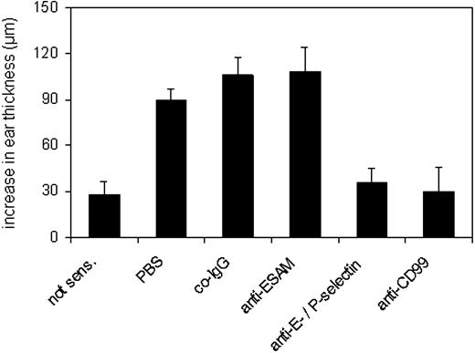 Figure 7. Blocking CD99 inhibits ear swelling. Mice were either not sensitized (first bar, not sens.) or sensitized with DNFB (all other bars) 5 days prior to challenging one of the ears with DNFB. Immediately prior to challenging, mice were intravenously injected with 100 μg anti-CD99 or 150 μg anti–E- and anti–P-selectin antibodies in PBS or with PBS alone (as indicated). Rabbit preimmune IgG was used as negative control IgG (co-IgG). The ear swelling response 10 hours after challenge is expressed as the difference (μm) between the thickness of the challenged ear and the thickness of the vehicle-treated ear. Results are representative for 3 similar experiments; for each determination 5 mice were analyzed. P < .000 05, co-IgG versus anti-CD99 or anti–E-/P-selectin. Results are presented as mean ± SEM and are representative of at least 3 separate experiments.