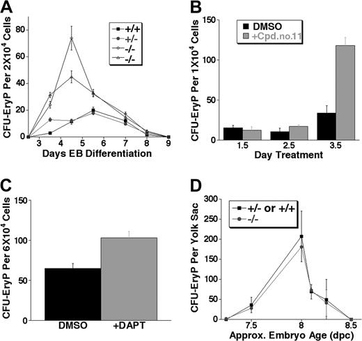 Figure 2. Notch1-deficient (Notch1in32 allele) and γ-secretase inhibitor–treated embryoid bodies (EBs), but not Notch1-deficient embryos (Notch1Δ1 allele), produce expanded primitive erythroid colony-forming unit (CFU-EryP) progenitors. (A) Kinetic analysis of primitive erythroid progenitor formation from EBs at various stages of differentiation. EBs differentiated in liquid culture for 2.5 to 9 days were assayed for CFU-EryP. Values represent the average of 3 replicate platings. Similar results were obtained in at least 4 independent experiments performed in EBs differentiated for 4 to 6 days. Wild type (+/+), Notch1 heterozygous (+/–), and 2 independently derived Notch1 null (–/–) ES cell lines were examined. (B) Wild-type EBs were treated at 1.5, 2.5, or 3.5 days of differentiation with a single dose of the γ-secretase inhibitor Cpd no. 11 (50 μM) or with the carrier alone, DMSO, as a control. Primitive erythroid progenitors (CFU-EryP) were then assayed at day 5 of differentiation. Values represent the average of 3 replicate platings. Similar results were obtained in an independent experiment. (C) Wild-type EBs were treated at day 3.5 of differentiation with a single dose of the γ-secretase inhibitor, DAPT (1 μM), or with the carrier, DMSO, as a control. Primitive erythroid progenitors (CFU-EryP) were then assayed at day 4.75 of differentiation (P < .01, Student t test). Values represent the average of 3 replicate platings. (D) CFU-EryPs were assayed from Notch1-deficient CD1 embryos (–/–) or heterozygous and wild-type (+/– or +/+) littermate controls from approximately day 7.25 to 8.5 dpc. Each time point represents the average number of CFUs from Notch1-deficient (–/–) or control (+/– or +/+) littermate embryos whose approximate chronologic age was based on morphology and/or somite numbers. Similar results not shown in this graph were obtained in additional experiments performed at various embryonic stages. Approx indicates approximately.