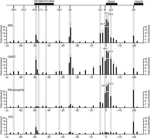 Figure 4. Acetylation profile of histone H3 in the mGata1 locus. At the top of the figure, the mGata1 locus is shown. Genes are depicted as black boxes and, below that, the positions of the hematopoietic DNase I HSs (gray arrows) and widely expressed DNase I HSs (black arrows) are marked. Panels below the locus show the profile of acetylated H3 at different points in the mGata1 locus as determined by ChiP using real-time Taqman PCR analysis in an erythroid cell line (MEL), megakaryocytic cell line (L8057), primary eosinophils (Io eosinophils), and a fibroblast cell line (NIH3T3 cells). The fold enrichment of acetylated H3 (y-axis) is shown at different points along the mGata1 locus (x-axis). The coordinates are in kilobases with respect to the transcriptional start site of the GATA1 IE promoter. The black bars show average fold enrichment results from duplicate real-time PCR reactions performed on 3 independent ChiP preparations. Error bars (1 SD) are shown. We were not able to assess histone acetylation status of chromatin overlying mHS–57.5 (note that the closest primer pair to mHS–57.5 is ∼ 1.0 kb away), as sequence encompassing mHS–57.5 is repetitive.