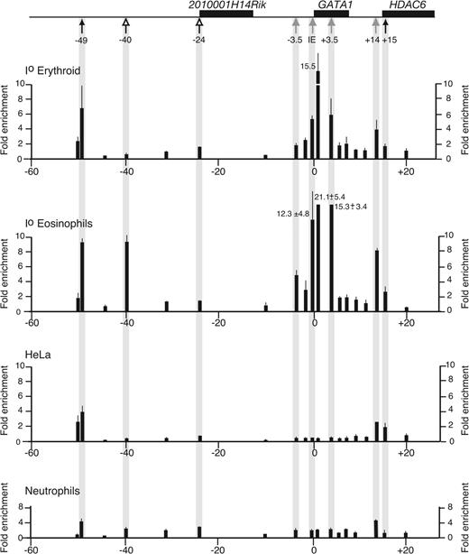 Figure 5. Acetylation profile of histone H3 in the hGATA1 locus. The organization of the figure is the same as in Figure 4. Top, the hGATA1 locus is drawn. Genes are depicted as black boxes. Below the locus, positions of hematopoietic (gray arrows), eosinophil-specific (open arrows), and widely expressed DNase I HSs (black arrows) are marked. Below that, the panels show the profile of acetylated H3 at different points along the hGATA1 locus in primary erythroid cells (Io erythroid), primary eosinophils (Io eosinophils), fibroblast cell line (HeLa), and Io neutrophils. Data are shown as average fold enrichments from duplicate real-time PCR reactions performed on 3 independent ChiP preparations. Error bars (1 SD) are shown.