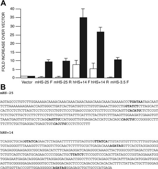 Figure 6. Transcriptional activity of mHS–25 and hHS+14 in the neor activation assay. (A) Fragments containing mHS–25, hHS+14, and mHS–3.5 were inserted either in the forward (F) or reverse (R) orientation into the neor-gene–containing vector, pMC1neo(polyA). The fold change in the number of G418-resistant colonies relative to the baseline vector, pMC1neo(polyA), upon transfection of L929 cells (□) and MEL cells (▪) is shown for each construct. Each bar represents average colony number from 5 experiments with each construct. Error bars (1 SD) are shown. Absolute average numbers of colonies were 14.3 colonies/1 × 107 L929 cells and 8.2 colonies/2 × 107 MEL cells when 20 μg linearized pMC1neo(polyA) was transfected. The amount of each recombinant plasmid DNA used for transfection was adjusted to ensure that equal molar ratios were transfected. (B) Sequence of mHS–25 and hHS+14. Sequence of GATA sites are marked in bold and E-boxes, in italics and bold.