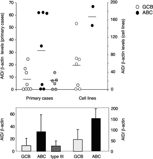 Figure 4. The AID protein is expressed in both GCB- and ABC-like DLBCLs. (Top) AID protein levels, measured by Western blotting and normalized for β-actin as described in “Materials and methods,” are shown in individual DLBCL samples classified by gene expression profiling as GCB-like (○), ABC-like (•), and type 3 (). Two different scales are used for the primary biopsies (left) and the cell lines (right), because lower AID levels were consistently observed in the former ones, likely due to the presence of contaminating nontumor cells. (Bottom) Histograms show the average AID protein expression levels in the 3 groups. Error bars indicate standard deviations.