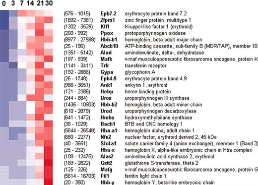 Figure 2. Activation of erythroid genes by GATA-1 in G1E-ER4 cells. Each column represents a time point from 0 to 30 hours after GATA-1 activation, and each row is assigned to a transcript. The color scale ranges from blue to red, corresponding to values ranging from –2.5 to +2.5 standard deviations about each transcript's mean, with white representing the mean value. Hence, a shift from blue to red indicates induction. Signal values (average of 3 triplicates) at 0 and 30 hours are shown in parentheses; these correspond roughly to transcript abundance. Transcripts shown here underwent at least a 2-fold change from time zero and had an average signal value of at least 100 in at least one time point.