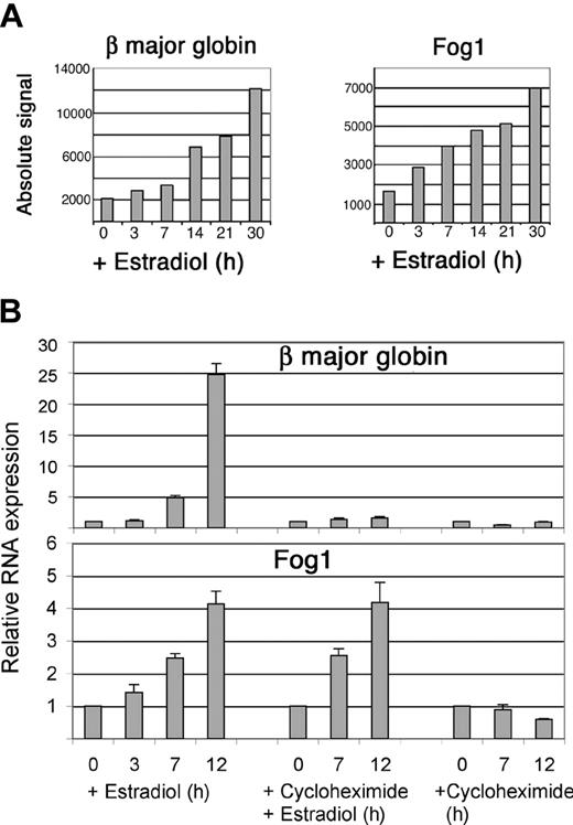 Figure 7. Induction of β major globin and Fog1 by GATA-1. (A) Messenger RNA levels in G1E-ER4 cells predicted by microarray experiments. (B) Messenger RNA levels quantitated by real-time polymerase chain reaction (PCR) in G1E-ER4 cells overexpressing bcl-xL to overcome cycloheximide-induced death. Each data point represents 6 separate PCR reactions in 2 independent experiments. Cycloheximide (0.5 mM) was added as indicated. Note that the magnitude of β globin RNA induction appears to be underestimated by the microarrays, as was also observed for α globin (Figure 4). This is likely due to saturation of the microarray system by these abundant transcripts. Error bars indicate standard deviations for triplicate experiments.