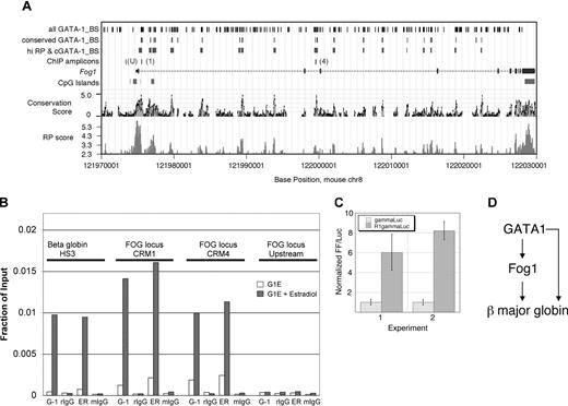 Figure 8. GATA-1 regulates Fog1 directly. (A) Cis-regulatory modules in Fog1 as predicted by comparative genomics. The mouse Fog1 gene (Zfpm1) is plotted in the middle, using base positions on chromosome 8 from the February 2003 (mm3) assembly. Coding exons are taller boxes, untranslated regions are shorter boxes, and introns are shown as lines with arrowheads pointing in the direction of transcription. Positions of cytosine-phosphate-guanosine (CpG) islands are on the line underneath the gene map. The Conservation Score38 estimates a log-likelihood that an alignment is in functional sequences. The RP score is a log-likelihood measurement that estimates the probability that a sequence is involved in regulating expression.40 Matches to weight matrices for GATA-1 binding sites were identified in the mouse sequence (track labeled “all GATA-1_BS”), and these were filtered to find those that are conserved in mouse, rat, and human alignments (track labeled “conserved GATA-1_BS”). The DNA segments whose alignments exceed a calibrated threshold for RP score and also contain at least one conserved, predicted GATA-1 binding site are shown in the track labeled “hi RP & cGATA-1_BS”; these are the predicted cis-regulatory modules for the Fog1 locus. There were 2 tested for occupancy by GATA-1 in vivo (B); these are shown as ChIP amplicons R1 (preCRM1 in intron 1) and R2 (preCRM4 in intron 2) along with a negative control (“U”) located upstream of the Fog1 start site for transcription. The information in the first 3 tracks was obtained by queries to GALA41 and the data were visualized in the UCSC Genome Browser.39 (B) Chromatin immunoprecipitation (ChIP) experiments showing GATA-1 occupancy at the Fog1 locus in G1E-ER4 cells at 24 hours after GATA-1 activation. The regions of the Fog1 gene examined are indicated as “ChIP amplicons” in line 4 of panel A.Antibodies used are indicated below the figure: G-1 indicates anti–GATA-1; ER, anti–estrogen receptor (used to detect the GATA-1/ER fusion protein). Control antibodies: rIgG indicates rat IgG; mIgG, mouse IgG. Each data point represents the average value obtained from 2 independent ChIP experiments. (C) Predicted cis-regulatory module 1 enhances expression from an erythroid promoter. The plasmid gammaLuc contains a firefly (FF) luciferase gene driven by the γ globin gene promoter, and preCRM1 (R1) was added upstream of the promoter to make the plasmid R1 gammaLuc. The normalized levels of expression are plotted for 2 experiments, with each sample tested in triplicate in both; the error bars indicate standard deviations. The activity from R1 gammaLuc is significantly higher than that from gammaLuc, with a P value no more than .005 for either by Student t test. (D) GATA1 and Fog1 act in a feed-forward loop to activate the β major globin gene.