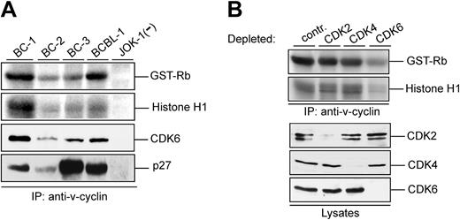 Figure 3. v-cyclin-associated kinase activity in PELs requires CDK6. (A) Lysates from PEL cell lines (BC-1, BC-2, BC-3, and BCBL-1) and a KSHV-negative control cell line (JOK-1) were immunoprecipitated with anti-v-cyclin antibody. In vitro kinase activity toward GST-Rb and Histone H1 was determined by autoradiography after SDS-PAGE (12%). The v-cyclin-associated CDK6 and p27KIP1 were analyzed by immunoblotting the nitrocellulose filter to which kinase reactions had been transferred with anti-CDK6 and anti-p27KIP1 antibodies. (B) Lysates from BC-3 cells were immunodepleted for CDK2, CDK4, and CDK6 by 3 consecutive rounds of immunoprecipitation with anti-CDK2, anti-CDK4, or anti-CDK6 antibodies. In the control (contr), lysate was immunoprecipitated with rabbit immunoglobulin G (IgG). Subsequently, depleted lysates were subjected to immunoprecipitation by anti-v-cyclin antibody and in vitro kinase assay toward GST-Rb and Histone H1. Kinase activity was determined by autoradiography after SDS-PAGE (12%). CDK-depleted lysates (40 μg) were resolved by SDS-PAGE (12%) and immunoblotted with antibodies against CDK2, CDK4, and CDK6.