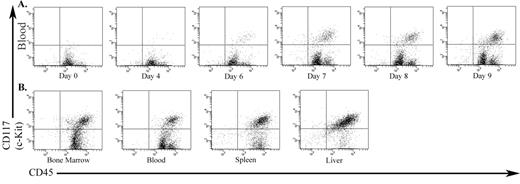 Figure 1. The infiltration of Kit-positive P815 cells into various organs of DBA/2 mouse. (A) PB over the course of the disease progression. (B) Hematopoietic organs at death.