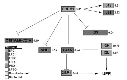 Figure 1:. Transcription factors involved in plasma cell differentiation. Color indicates the expression profile category. For each gene is given the ratio of the mean expression value in plasma cell samples (PPC and BMPC) to the mean expression value in BM. UPR: Unfolded Protein Response.