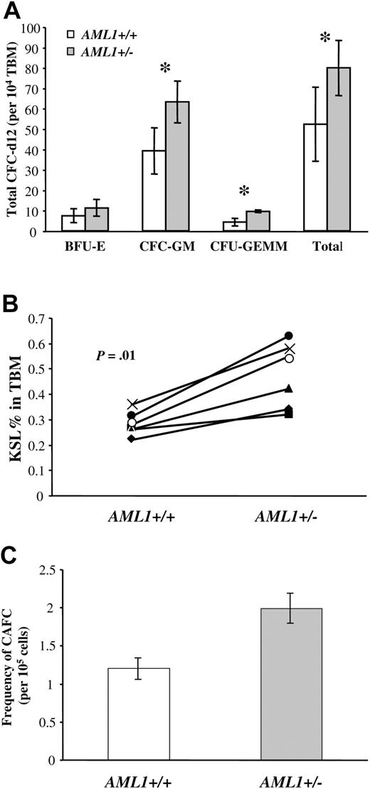 Figure 2. Analysis of multilineage and lineage-committed progenitors in the BM of AML1+/+ and +/– mice. (A) Total bone marrow (TBM) cells (1 × 104) from AML1+/+ or +/– mice were plated in duplicate in methylcellulose cultures containing IL-3, IL-6, SCF, and EPO, and the number of hematopoietic colonies was morphologically determined after 12 days of culture. Results are the average ± standard deviation from 5 mice for each genotype. The groups with statistically significant difference are marked by an asterisk. (B) TBM cells from AML1+/+ and +/– mice (6 mice per genotype) were analyzed by FACS to determine the number of c-Kit+Sca1+Linlow/– (KSL). The percentage of KSL cells in total BM is indicated for each pair of age- and sex-matched AML1+/+ and +/– mice. The average percentage of KSL cells in AML1+ /+ versus +/– mice was 0.28 ± 0.02 and 0.47 ± 0.05, respectively (P = .01). (C) TBM cells from AML1+/+ and +/– mice were serial diluted and then plated in long-term stromal-supported hematopoietic cultures using a 96-well format. Twenty replicate wells were seeded at each dilution, and wells containing clusters of 6 or more cobblestone cells after 28 days of culture were scored as positive. The combined data from 3 independent experiments were used to estimate the number of CAFC day 28 by Poisson statistics. This analysis indicated an increase in the frequency of CAFC-d28 in AML1+/– versus +/+ mice (1 in 50 263 ± 5 871 versus 1 in 82 953 ± 9298, respectively; P < .001).
