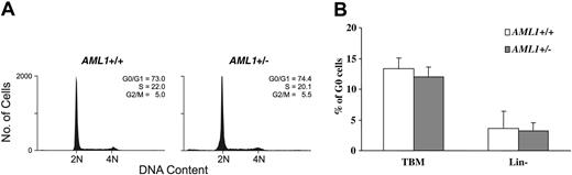 Figure 5. Cell cycle analysis of AML1+/– and +/+ BM cells. (A) Lineage-negative BM cells were labeled with PI and subjected to FACS analysis. Shown are representative PI FACS profiles of wild-type and AML1+/– cells. (B) Total BM cells (TBM) and lineage-negative BM cells (Lin–) were dual-stained with the RNA dye PY and DNA dye Hoechst 33342, and the percentage of G0 cells (PY low, Hoechst low) was determined by FACS. The values shown represent the mean and standard deviation of 6 independent experiments.