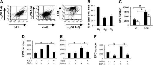 Figure 4. FN and Coll I integrin receptor expression in c-kit+ cells and reversion of EPC differentiation by integrin antagonists in culture. (A-B) FACS analysis and quantification of α4, α5, and α2 integrin expression in c-kit+ cells (n = 3). (C) Plating c-kit+ cells onto different FN subfragments (40-120 kDa) revealed a different contribution of α4 and α5 integrin receptors to EPC differentiation. Onto both fragments, SDF-1 enhanced EPC differentiation compared with controls, although to a different extent. In fact, the amount of differentiated EPCs was significantly higher onto 40-kDa FN fragment, containing the CS-1 epitope for α4 binding (filled bars), compared with the 120-kDa FN fragment, containing the RGD motif, specific for α5 binding (open bars). *P < .05; n = 4. C indicates control-untreated cells. (D-F) Reversion of EPC differentiation using FN or Coll I adhesion antagonists. CS-1 (D), RGD (E), and DGEA (F) peptides antagonizing binding of EPCs to FN via α4 and α5 integrins, or Coll I via α2β1, were added in culture. Cell counts showed that these antagonists reverted SDF-1–enhanced differentiation revealing a cell adhesion–dependent mechanism. *P < .05; n = 4. Error bars indicate standard errors.