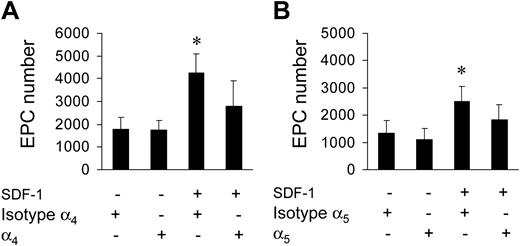 Figure 5. Reversion of EPC increase by blocking antibodies. Use of anti-α4 (A) and anti-α5 (B) blocking antibodies inhibited SDF-1–mediated EPC increase onto FN. *P < .05; n = 3. Error bars indicate standard errors.