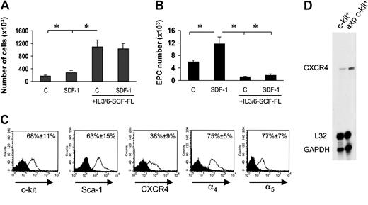 Figure 6. Reversion of SDF-1–enhanced EPC differentiation by mitogenic stimulation of c-kit+ cells. (A) Culturing c-kit+ cells in serum-free medium in the presence of IL-3/IL-6, FL, and SCF dramatically enhanced the number of EPCs either in the presence or absence of SDF-1. *P < .05; n = 3. (B) These cells, however, failed to differentiate both in the presence or absence of SDF-1 when cultured onto FN substrate. *P < .05; n = 3. Error bars indicate standard errors. C indicates untreated cells or cells treated with cytokine cocktail without SDF-1. (C) To assess whether c-kit+ cells cultured in the presence of cytokines express stem cell markers CXCR4 and integrin receptors, we performed a FACS analysis for c-kit, Sca-1, CXCR4, and α4 and α5 integrins. Results are given as average of 3 independent experiments ± SE. (D) RNAse protection assay showing expression of CXCR4 mRNA in freshly isolated c-kit+ cells and its up-regulation following culture in mitogenic condition for 7 days. exp indicates expression.