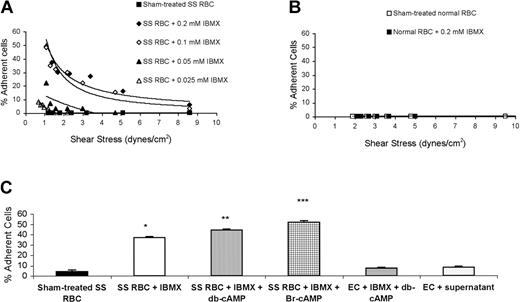 Figure 1. Increased intracellular cAMP induces SS RBC adhesion to EC-RF24 cells. (A) SS RBCs were sham treated or treated with 0.025 to 0.2 mM IBMX and tested for adhesion to EC-RF24 cells at different shear stresses. (B) Sham-treated or IBMX-treated normal RBCs were tested for their ability to adhere to EC-RF24 cells. Each graph is representative of 2 different experiments. (C) SS RBCs were sham treated (n = 8) or treated with 0.2 mM IBMX (n = 5), 0.2 mM IBMX + 176 μM db-cAMP (n = 9), or 0.2 mM IBMX + 176 μM Br-cAMP (n = 9). As controls, EC-RF24 cells were incubated with 0.2 mM IBMX + 176 μM db-cAMP (n = 3) or with the supernatant obtained from the last wash of SS RBCs treated with 0.2 mM IBMX + 176 μM db-cAMP (n = 3). Adhesion was assayed at a shear stress of 2 dynes/cm2. Error bars in panel C show standard deviation (SD). *P < .0002 compared with sham-treated SS RBCs; **P < .002 compared with SS RBCs + IBMX; and ***P < .0002 compared with SS RBCs + IBMX.
