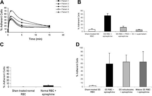 Figure 3. Epinephrine modulates SS RBC adhesion to ECs. Adhesion of SS and normal RBCs to both EC-RF24 cells (A) and HUVECs (B-D) was tested, and results are presented as percent of cells adherent at a shear stress of 2 dynes/cm2. (A) SS RBCs were sham treated or stimulated with 20 nM epinephrine for 1 to 15 minutes. (B) SS RBCs were sham treated, activated with 20 nM epinephrine for 1 minute, or preincubated with 30 nM PKAI, washed, and then activated with 20 nM epinephrine for 1 minute prior to adhesion assays (n = 3). As a control, HUVECs were incubated with the supernatant obtained from the last wash of SS RBC treatment with 20 nM epinephrine for 1 minute (n = 3), washed, and then tested for their ability to support adhesion of nontreated SS RBCs. (C) Normal RBCs were sham treated or activated with 20 nM epinephrine (1 minute) and then used for adhesion assays (n = 3). (D) Separation of reticulocytes and mature RBCs was accomplished using antitransferrin receptor mAb 5E9 and goat anti–mouse IgG–coated magnetic microbeads as described in “Materials and methods.” Adhesion assays to HUVECs were then performed after incubation of unselected SS RBCs, mature SS RBCs, or SS reticulocytes with 20 nM epinephrine for 1 minute. In panels B-D, error bars show SD of 3 different experiments measuring adhesion at a shear stress of 2 dynes/cm2.
